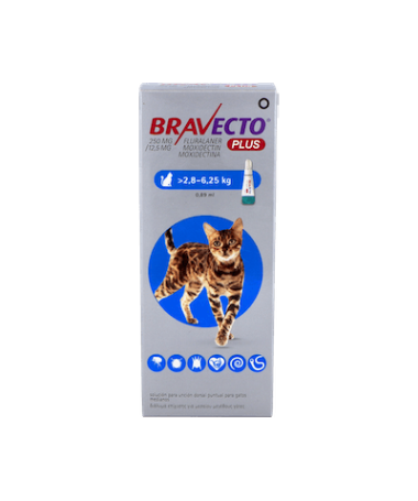 BRAVECTO GATOS 2