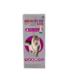BRAVECTO PLUS 500/25M CAT 6