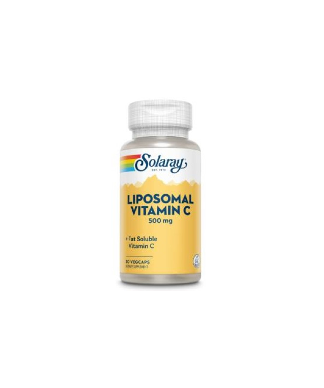 LIPOSOMAL VIT C 500MG 30VCAP – foto del producto ácido liposomal vitamina LIPOSOMAL VIT C 500MG 30VCAP – foto del producto ácido liposomal vitamina