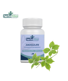 JIAOGULAN 60CAP VEG – foto del producto jiaogulan concentrado arroz