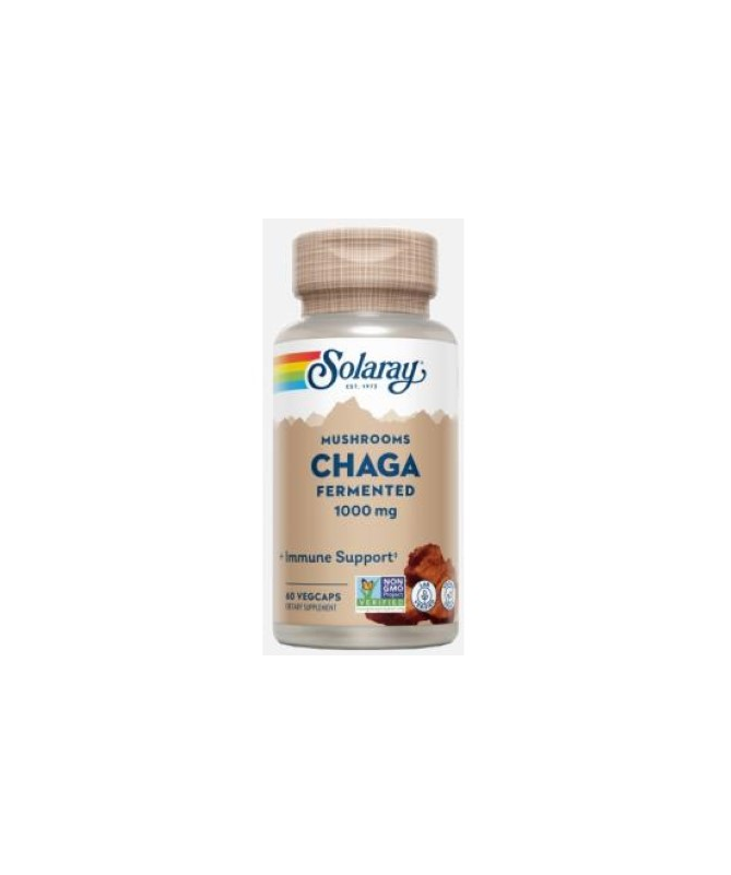CHAGA FERMENTED 500MG 60VCAP – foto del producto chaga orgánico fermentado
