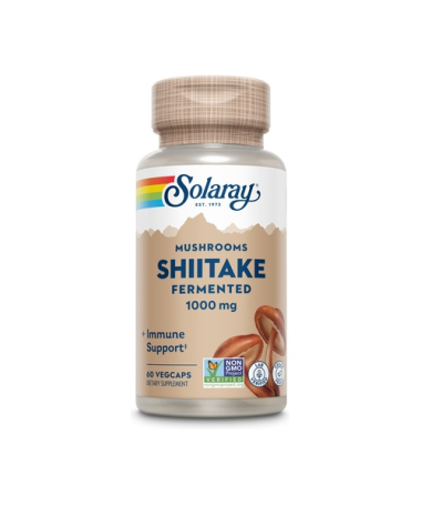 SHIITAKE 500MG 60CAP VEG – foto del producto shiitake hongo lentinula