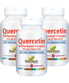 QUERCITIN NON CITRUS 90CAP – foto del producto quercitin non citrus