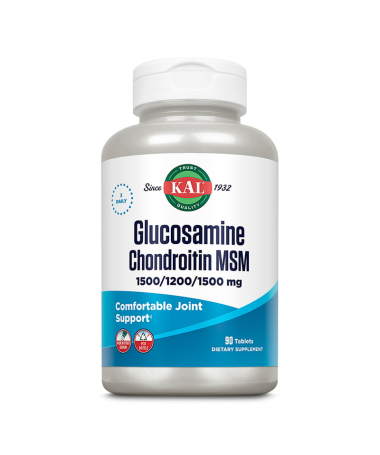 GLUC CHON MSM 90CAP – foto del producto msm 500 gluc