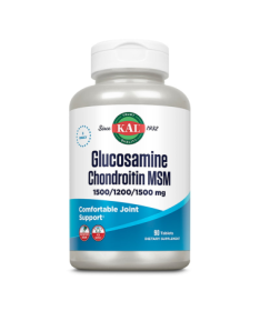 GLUC CHON MSM 90CAP – foto del producto msm 500 gluc
