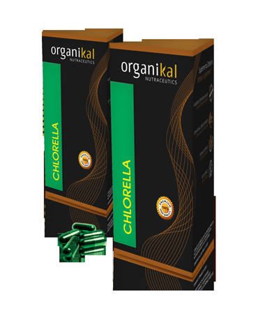 CHLORELLA 60CAP – foto del producto chlorella vegetal 60cap