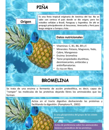 BROMELINA 90CAP – foto del producto bromelina cápsula 000
