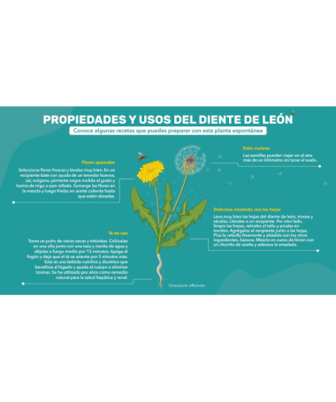 DIENTE DE LEON Y SEMILLA DE APIO 100CAP – foto del producto vegetal diente semilla