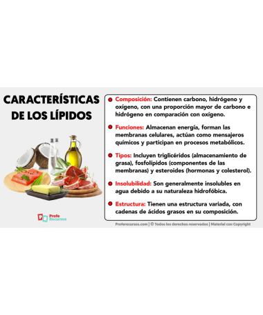 OMEGAMOOD EPA 30PERLAS – foto del producto epa ácido omegamood