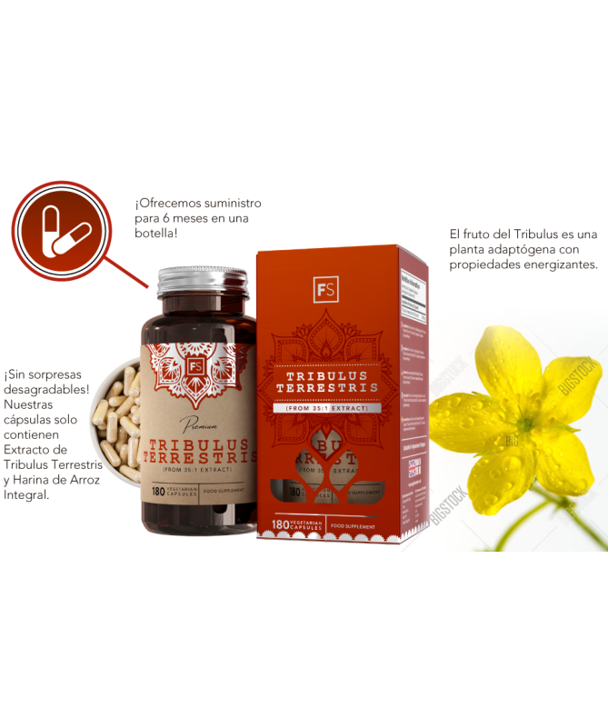 TRIBULUS TERRESTRIS 90CAP – foto del producto tribulus terrestris vegetal