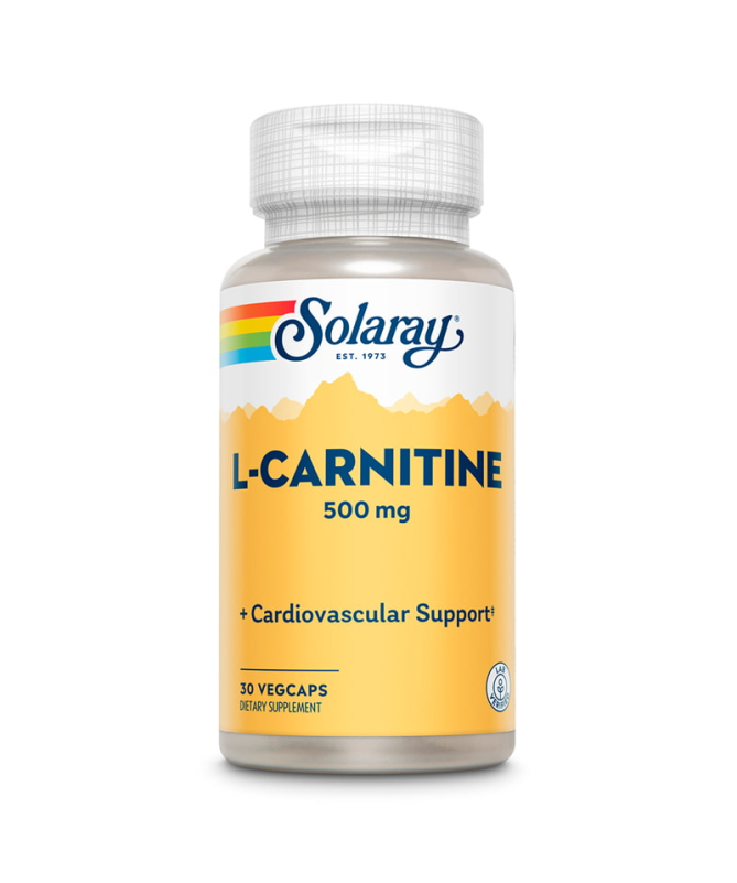 L CARNITINE 500MG 30CAP – foto del producto carnitina celulosa carnitine
