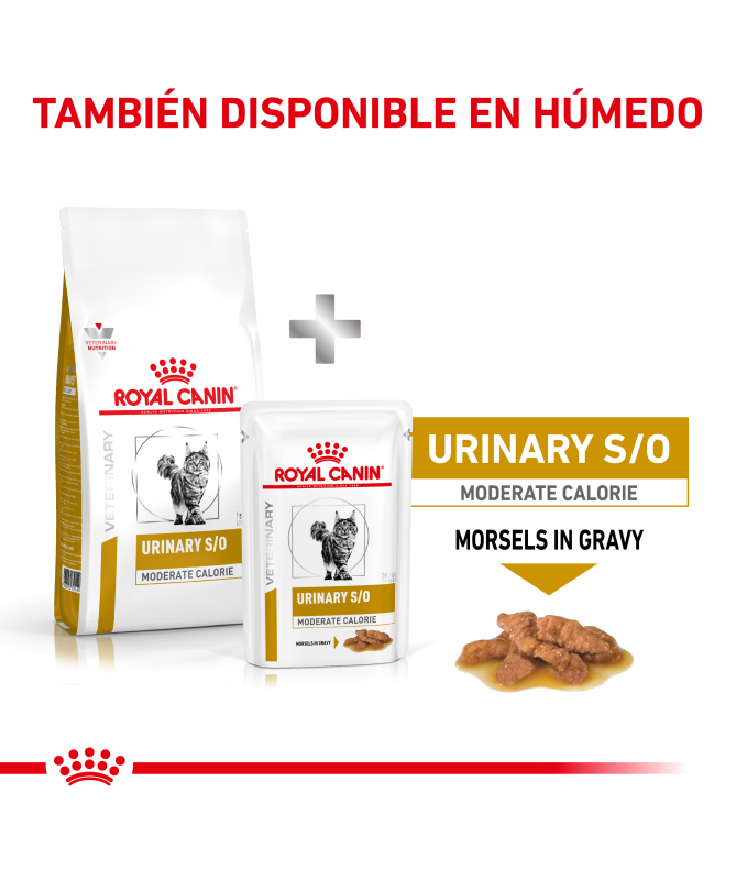 ROYAL VET FELINE URINARY MODERATE CALORIE UMC34 9KG – foto del producto tienes contacta nuestro