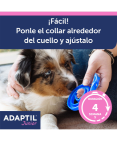 ADAPTIL COLLAR JUNIOR CACHORROS 1UD – foto del producto adaptil collar junior