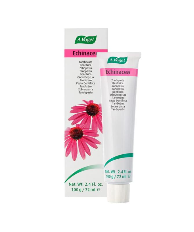 DENTAFORCE ECHINACEA PASTA 100GR – foto del producto echinacea planta fresca DENTAFORCE ECHINACEA PASTA 100GR – foto del producto echinacea planta fresca