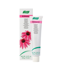 DENTAFORCE ECHINACEA PASTA 100GR – foto del producto echinacea planta fresca