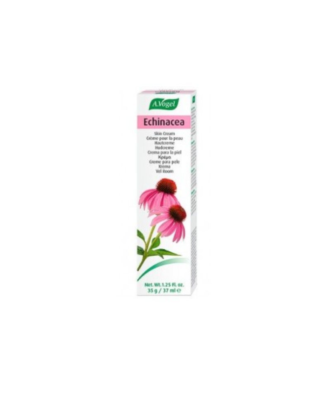 CREMA ECHINACEA 35GR – foto del producto echinacea crema 35gr CREMA ECHINACEA 35GR – foto del producto echinacea crema 35gr