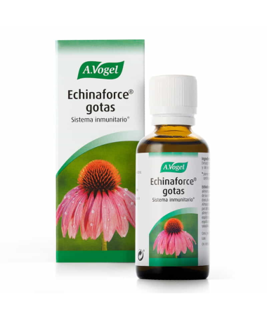 ECHINAFORCE 50ML – foto del producto echinacea purpurea tintura