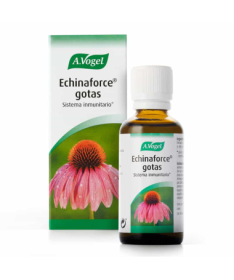 ECHINAFORCE 50ML – foto del producto echinacea purpurea tintura