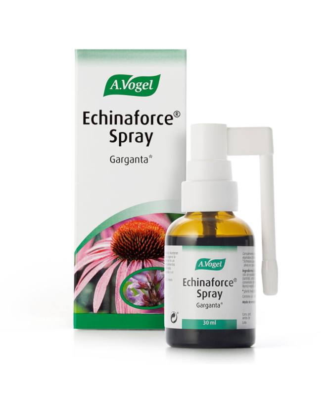 ECHINAFORCE SPRAY 30ML – foto del producto echinacea purpurea salvia ECHINAFORCE SPRAY 30ML – foto del producto echinacea purpurea salvia