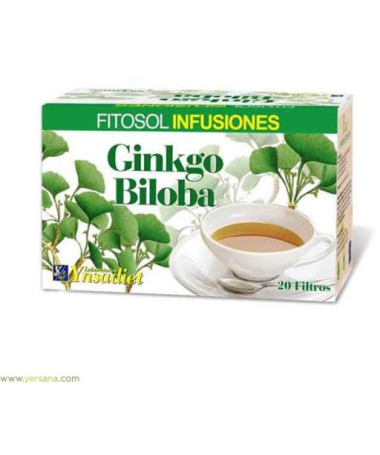 FITOSOL INF GINKGO BILOBA 20FILTROS – foto del producto ginkgo biloba fitosol