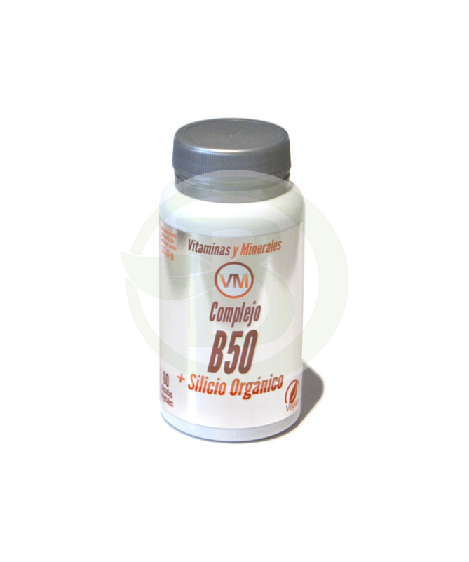 COMPLEJO B50 SILICIO 60CAP – foto del producto silicio vit cápsula