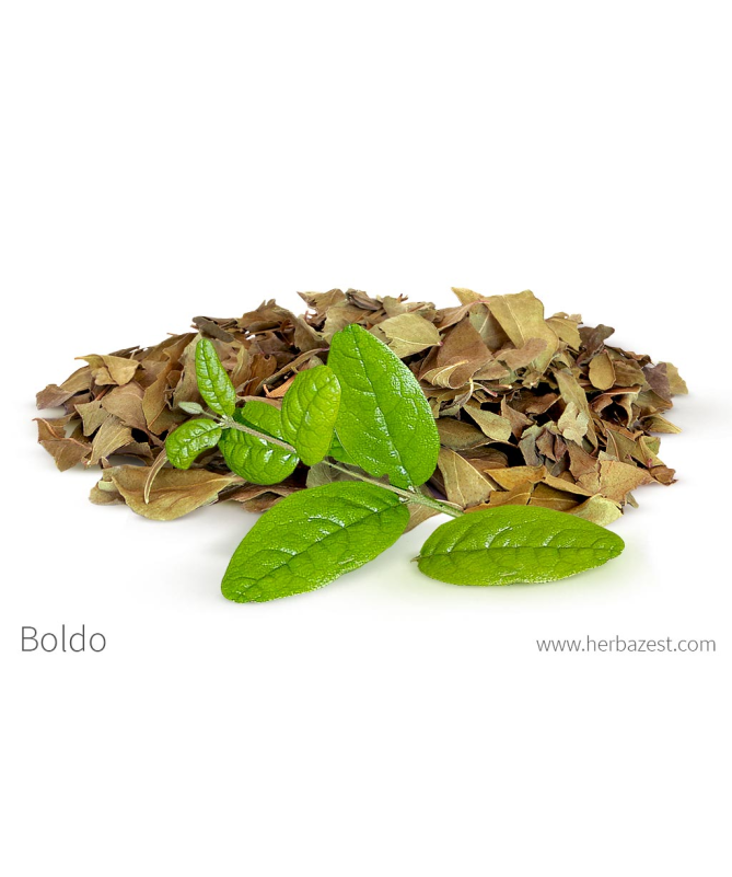 BOLDO HOJA 50 GR – foto del producto tienes contacta nuestro