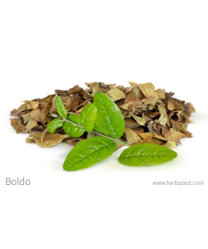 BOLDO HOJA 50 GR – foto del producto tienes contacta nuestro