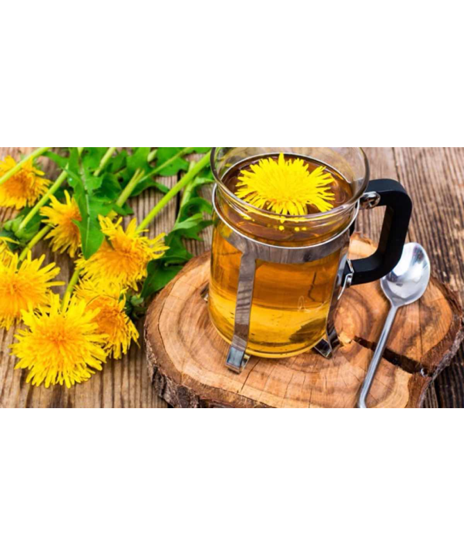 DIENTE DE LEON 40GR PLANTA FITOSOL – foto del producto diente leon 40gr