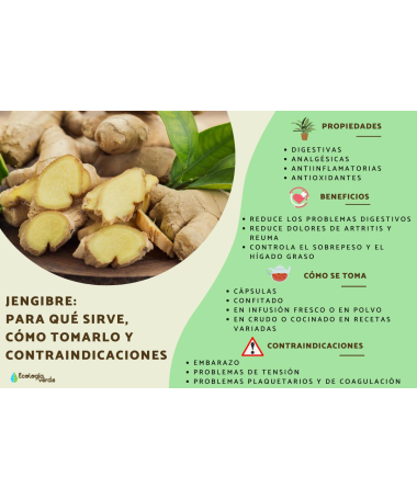 JENGIBRE CORTADO 70 GR – foto del producto tienes contacta nuestro