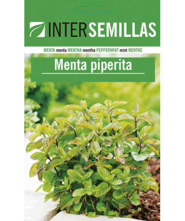 MENTA PIPERITA 40 GR – foto del producto tienes contacta nuestro