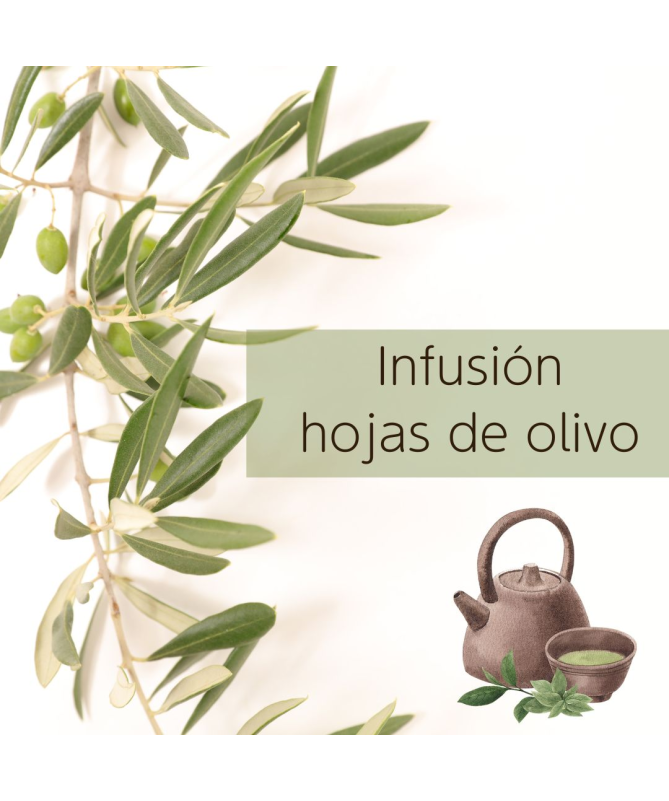 OLIVO HOJA 70 GR – foto del producto tienes contacta nuestro OLIVO HOJA 70 GR – foto del producto tienes contacta nuestro