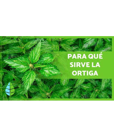 ORTIGA VERDE 40GR – foto del producto tienes contacta nuestro