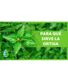 ORTIGA VERDE 40GR – foto del producto tienes contacta nuestro