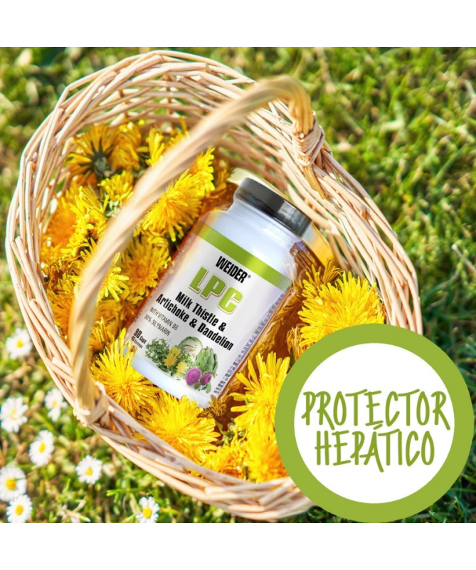 WEIDER LPC PROTECTOR HEPATICO 90CAP – foto del producto extracto 300 semillas WEIDER LPC PROTECTOR HEPATICO 90CAP – foto del producto extracto 300 semillas