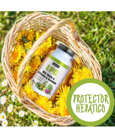 WEIDER LPC PROTECTOR HEPATICO 90CAP – foto del producto extracto 300 semillas