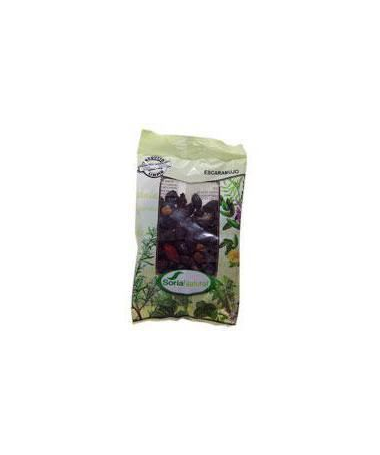 ESCARAMUJO BOLSA 100GR – foto del producto escaramujo bolsa 100gr