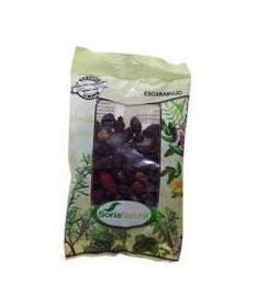 ESCARAMUJO BOLSA 100GR – foto del producto escaramujo bolsa 100gr