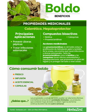 INF BOLDO 20UNI – foto del producto boldo inf 20uni