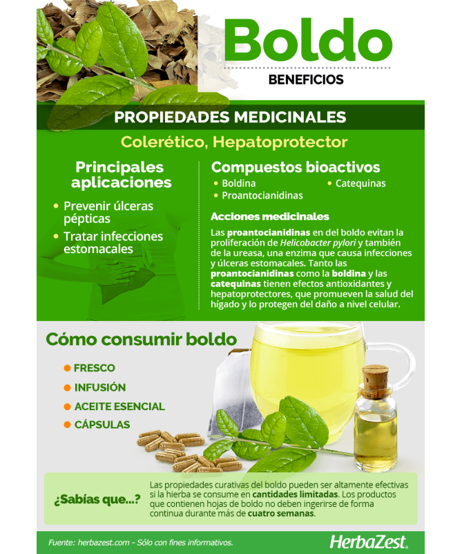 INF BOLDO 20UNI – foto del producto boldo inf 20uni