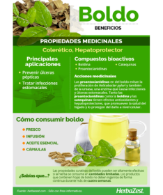 INF BOLDO 20UNI – foto del producto boldo inf 20uni