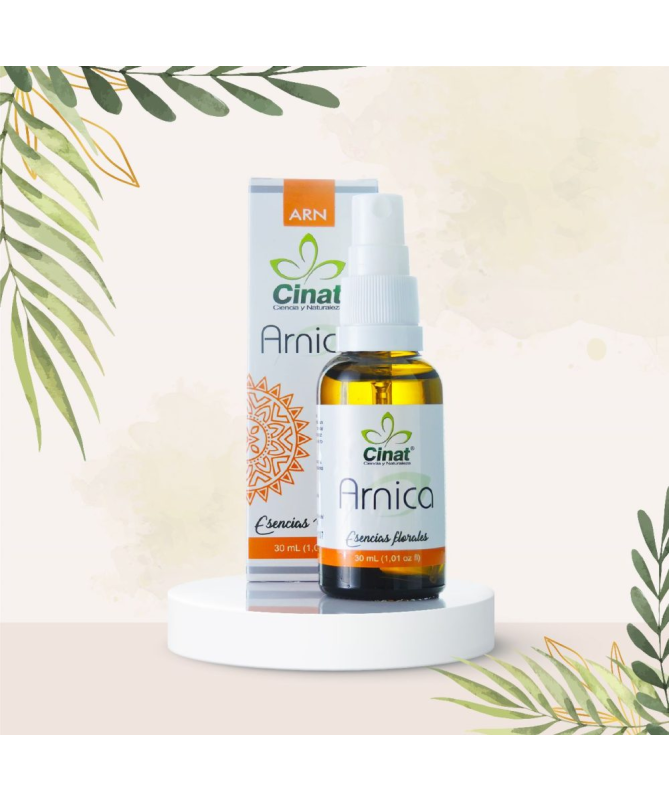 EXT ARNICA XXI 50ML S AL – foto del producto arnica ciclodextrinas ext EXT ARNICA XXI 50ML S AL – foto del producto arnica ciclodextrinas ext