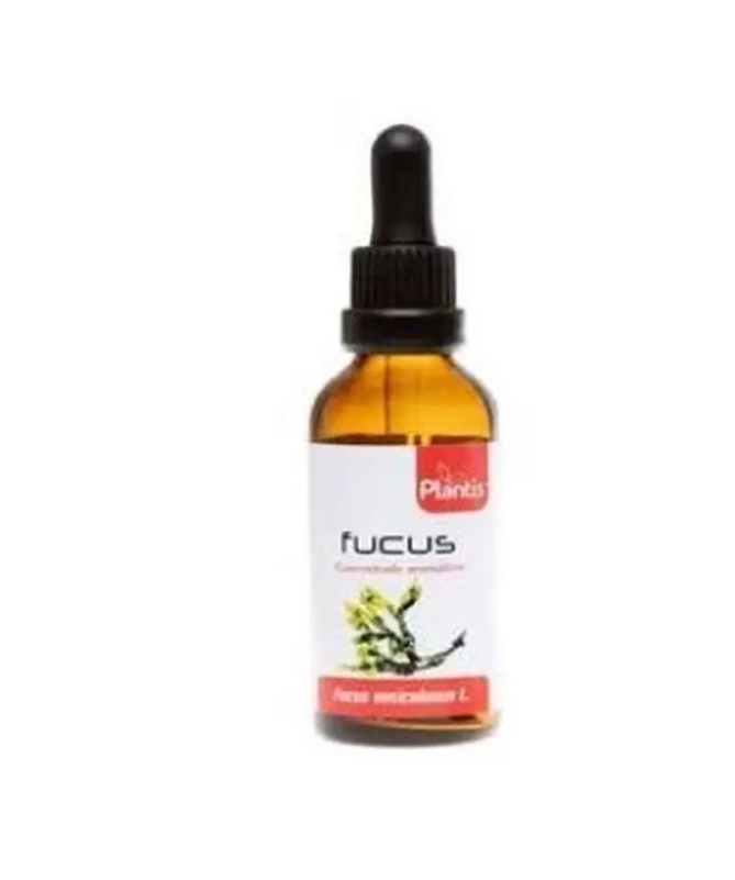 EXT FUCUS XXI 50ML S AL – foto del producto fucus 300 ext