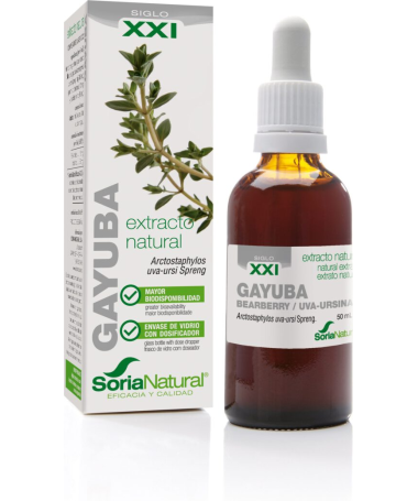 EXT GAYUBA XXI 50ML S AL – foto del producto gayuba ciclodextrinas ext