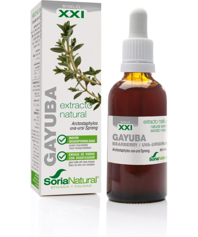 EXT GAYUBA XXI 50ML S AL – foto del producto gayuba ciclodextrinas ext