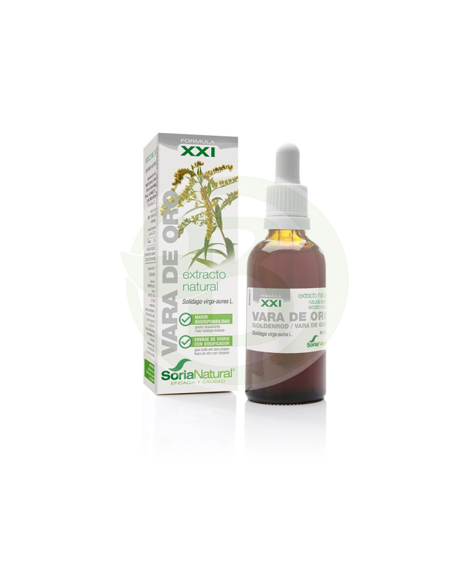 EXT VARA DE ORO XXI 50ML S AL – foto del producto vara oro ciclodextrinas EXT VARA DE ORO XXI 50ML S AL – foto del producto vara oro ciclodextrinas