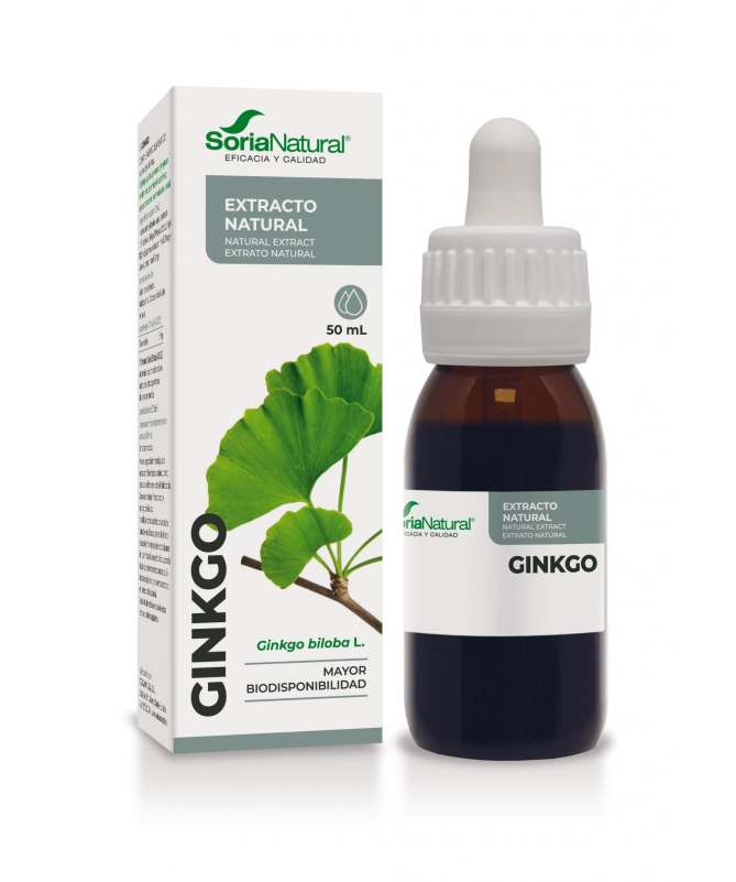 EXT GINKGO BILOBA XXI 50ML S AL – foto del producto ginkgo biloba 120 EXT GINKGO BILOBA XXI 50ML S AL – foto del producto ginkgo biloba 120