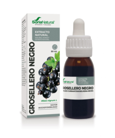 EXT GROSELLERO NEGRO XXI 50ML S AL – foto del producto grosellero negro ciclodextrinas