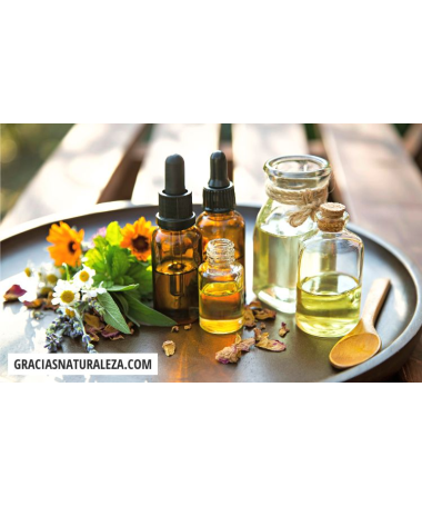 ABDOGRAS 28COMPR – foto del producto seco extracto hojas