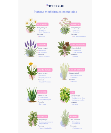 NOFLASOR 28COMP – foto del producto extracto estabilizante celulosa