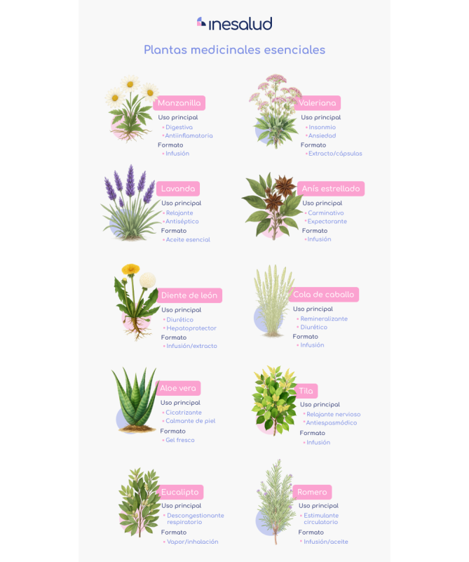 NOFLASOR 28COMP – foto del producto extracto estabilizante celulosa NOFLASOR 28COMP – foto del producto extracto estabilizante celulosa